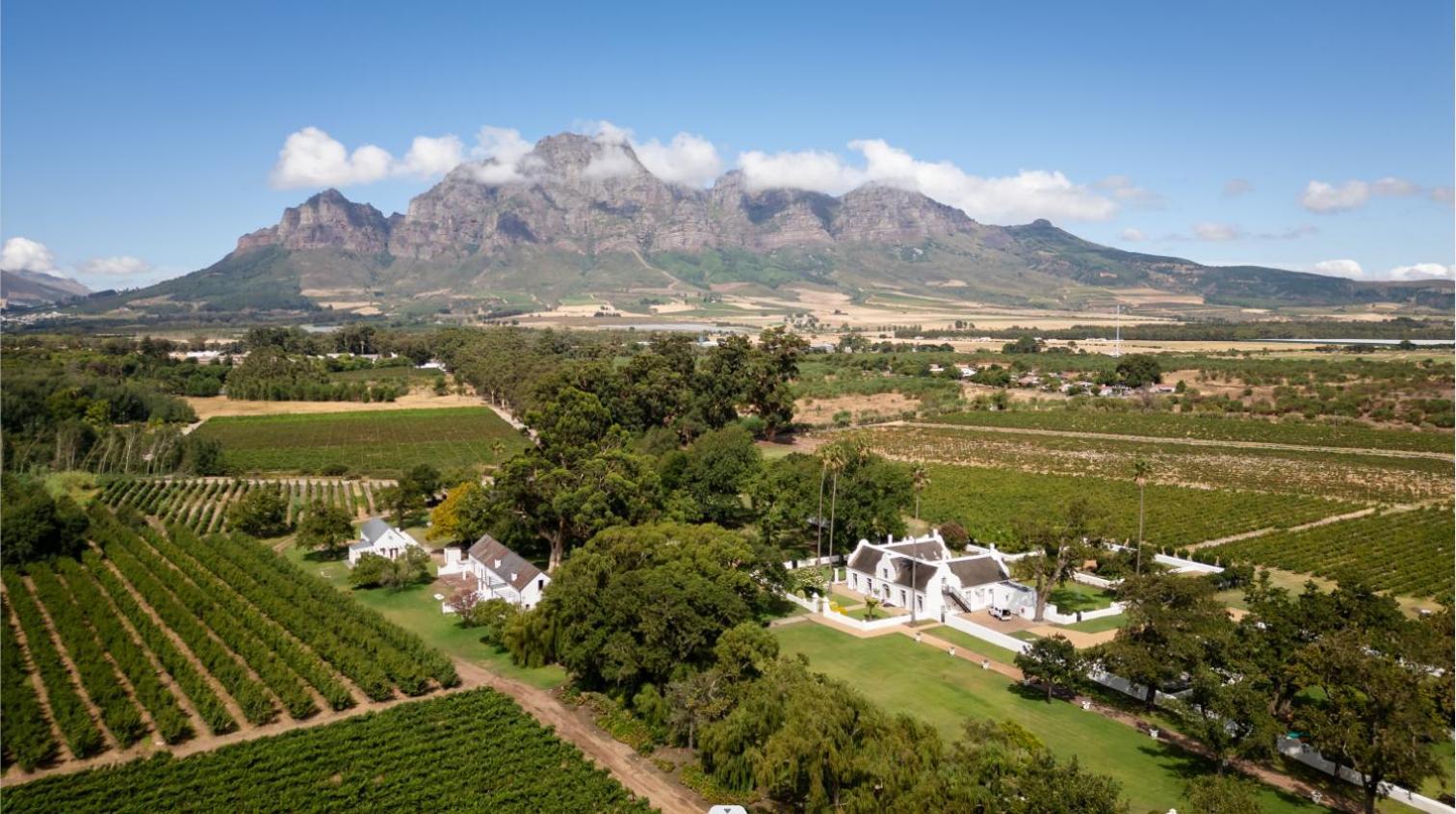 Allee Bleue Wine Estate Simondium 외부 사진